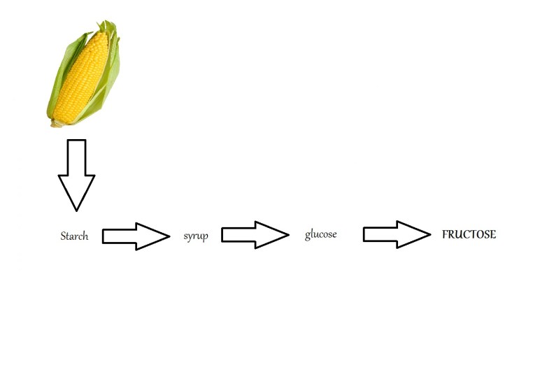 Corn diagram